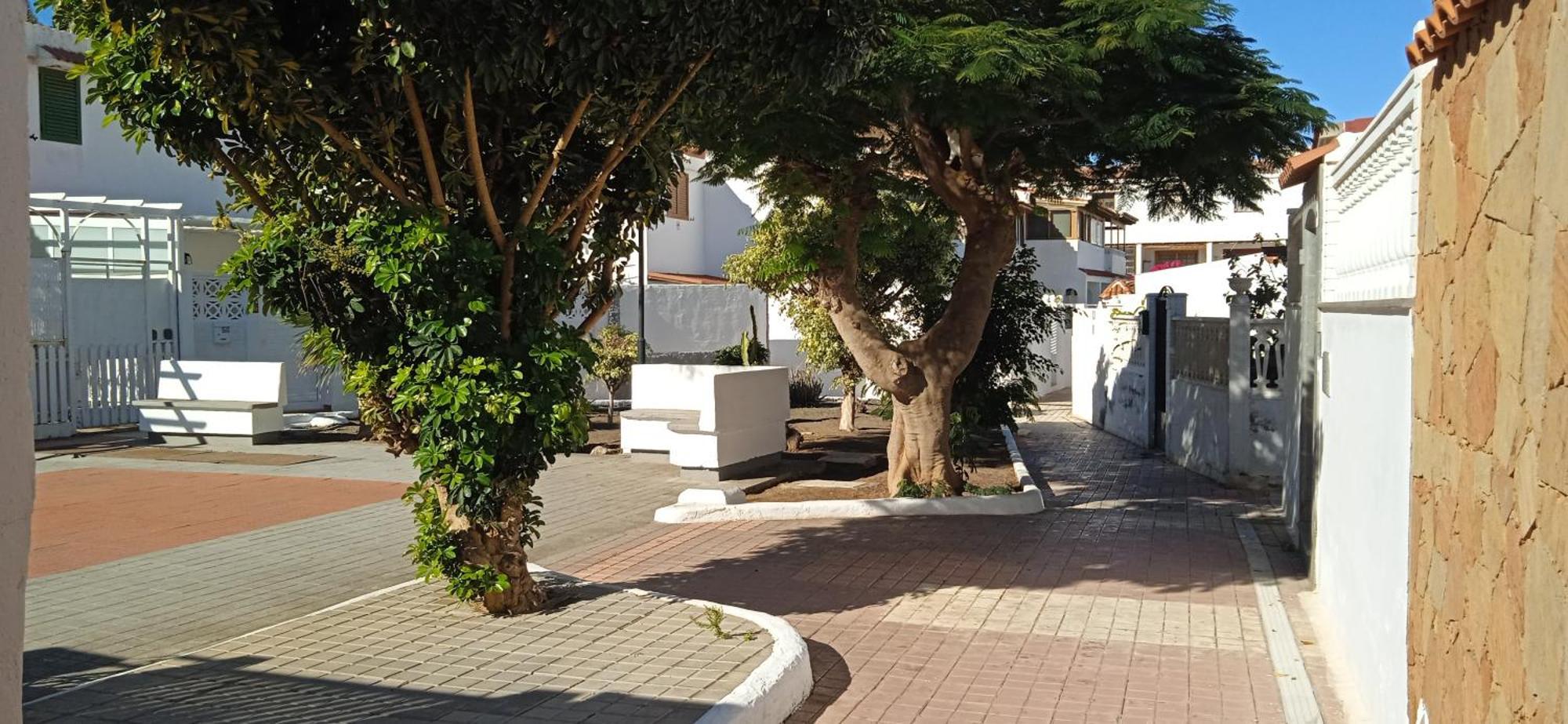 Oasis El Palmeral De Agaete อากาเอเต ภายนอก รูปภาพ